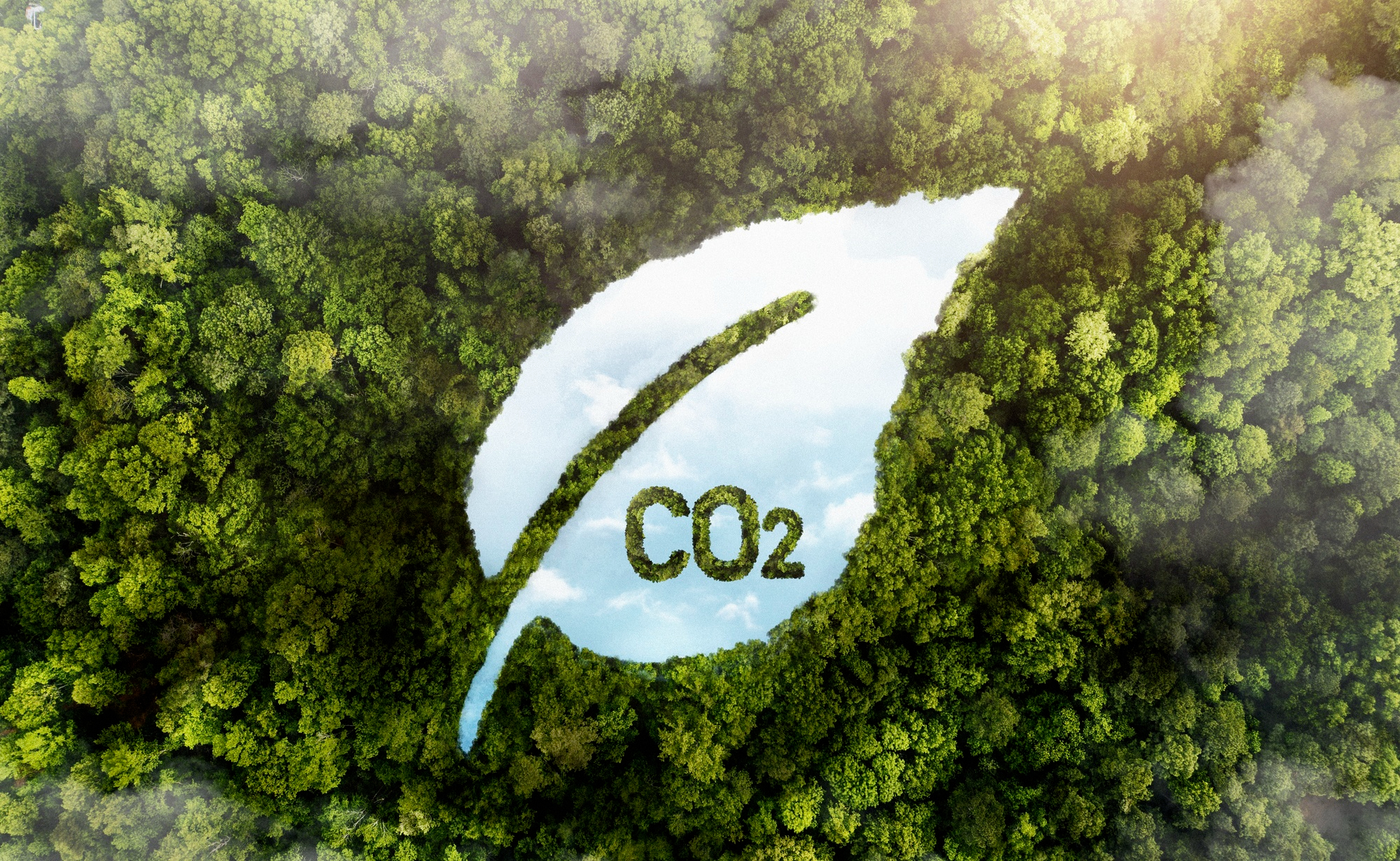 Imagen representativa de la huella de carbono